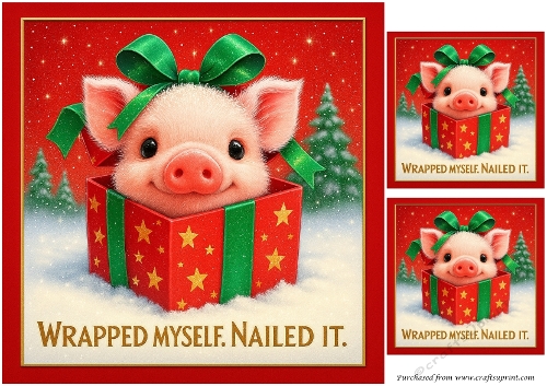 DD FUNNY CHRISTMAS FARM ANIMALS 7