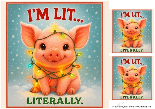 DD FUNNY CHRISTMAS FARM ANIMALS 8