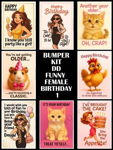 BUMPER KIT DD FUNNY FEMALE BIRTHDAY 1