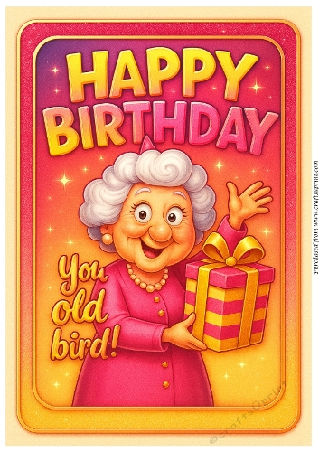 DD FUNNY FEMALE BIRTHDAY A4 10