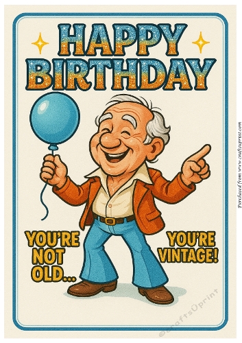 DD FUNNY MALE BIRTHDAY A4 6