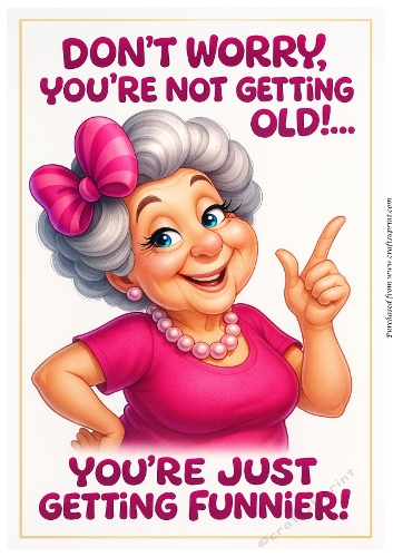 DD FUNNY FEMALE BIRTHDAY A4 52