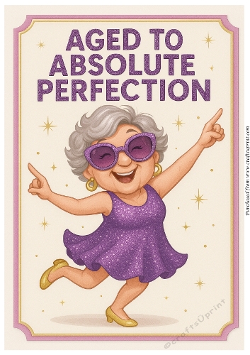 DD DISCO FUNNY FEMALE BIRTHDAY A4 9