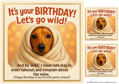 DD FUNNY BIRTHDAY QUICK CARD 1