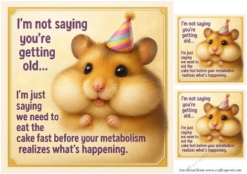 DD FUNNY BIRTHDAY QUICK CARD 2