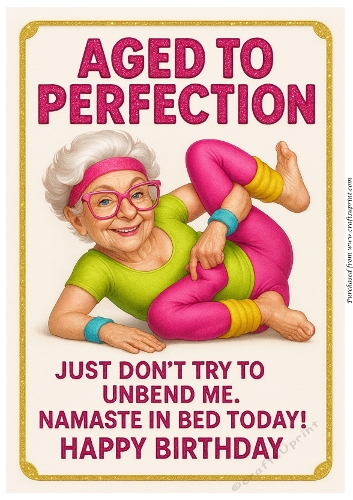 DD FUNNY SENIOR FEMALE BIRTHDAY A4 3