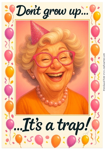 DD FUNNY FEMALE BIRTHDAY A4 174