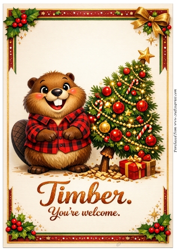 DD GOLDEN CHRISTMAS A4 17