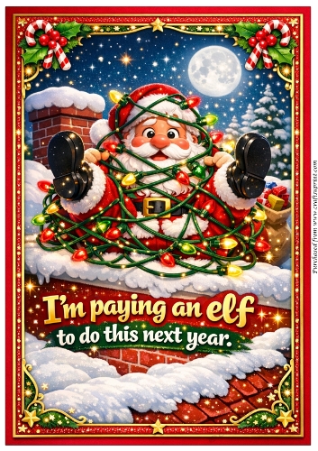DD GOLDEN CHRISTMAS A4 118
