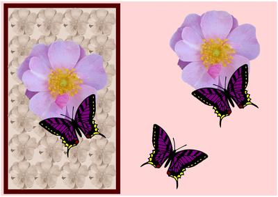 Pink Flower with Butterfly