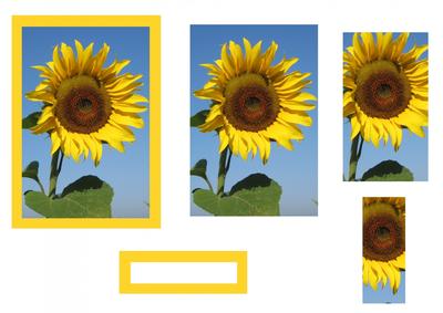 Sunflower Pyramid