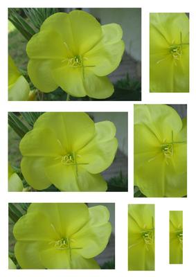 Yellow Flower Pyramid
