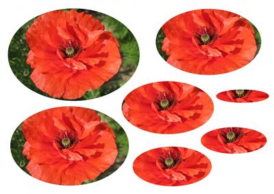 Poppy Oval Pyramid