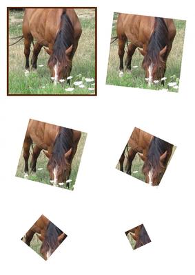 Horse Twisted Pyramid