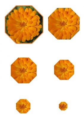 Orange Flower Octagonal Pyramid