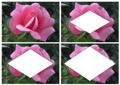 Pink Rose Inverted Pyramid