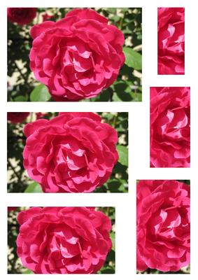 Pink Rose Pyramid 3
