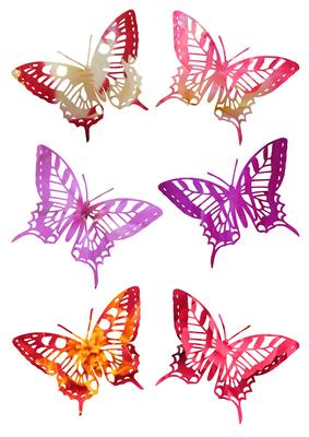 Floral Butterflies 3