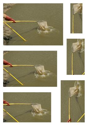 Net Fishing Pyramid