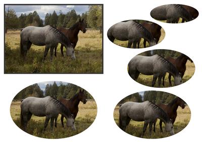 Two Horses Oval Pyramid