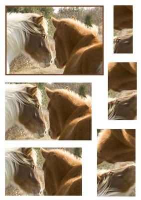 Wild Horses Pyramid