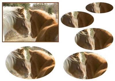 Wild Horses Oval Pyramid