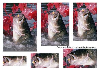 Bass Fishing in the Fall Pyramid