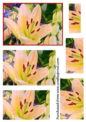 Mothers Day Flowers Pyramid