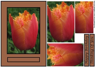 Floral Tulip Quick Card 2