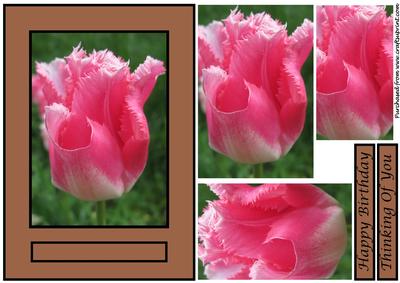 Floral Tulip Quick Card 3