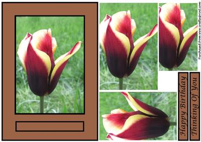 Floral Tulip Quick Card 4