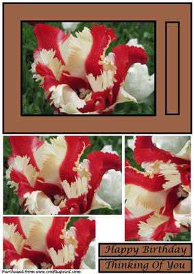 Floral Tulip Quick Card 5