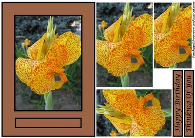 Floral Quick Card