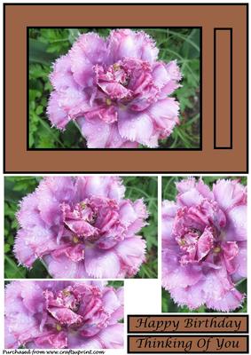 Dewy Rose Quick Card