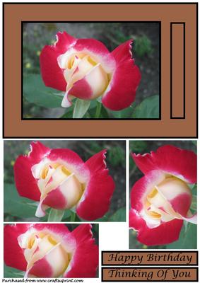 Floral Rose Quick Card 2