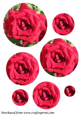 Red Rose Circle Pyramid