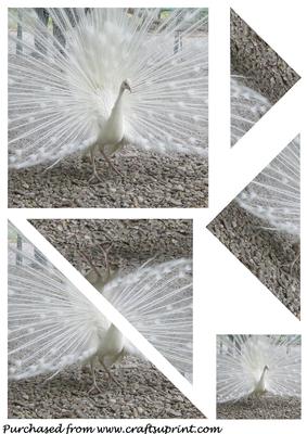 White Peacock Triangle Corner Stacker
