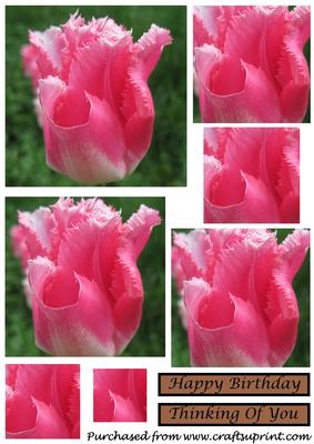 Floral Tulip Square Pyramid 3