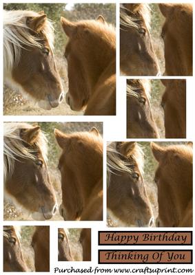 Wild Horses Square Pyramid