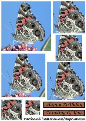 Butterfly on Pink Flower Square Pyramid