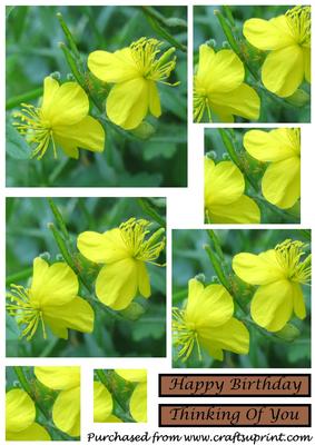 Yellow Flowers Square Pyramid