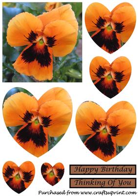 Orange Pansy Heart Shaped Pyramid