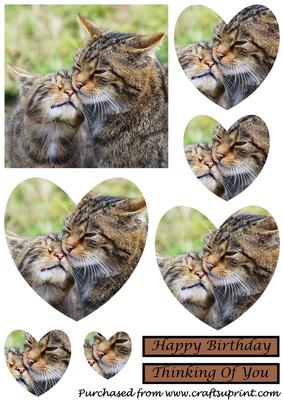 Scottish Wildcat with Her Kitten Heart Shaped Pyramid