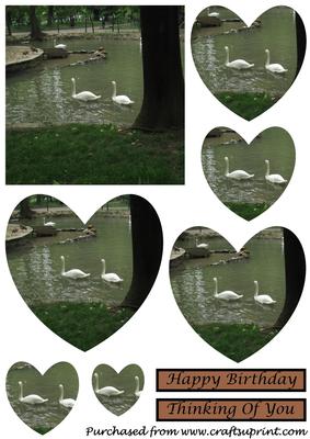 White Swans Heart Shaped Pyramid