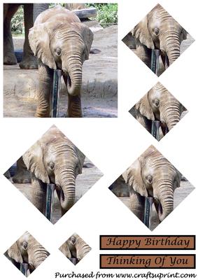 Baby Elephant Diamond Pyramid