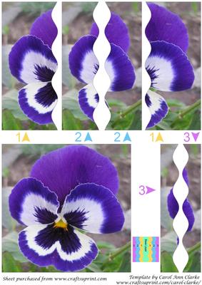 Blue Pansy Square Wavy Side Stacker
