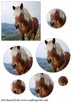 Mountain Horse Circle Pyramid