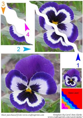 Blue Pansy Square Wavy Corner Side Stacker