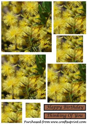 Yellow Wattle Flowers Square Pyramid