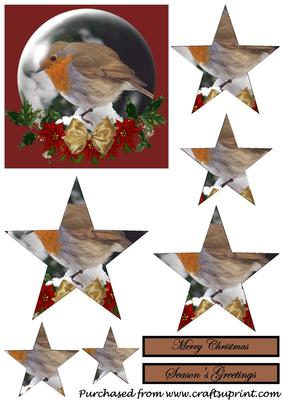 Christmas Robin Snow Globe Star Pyramid